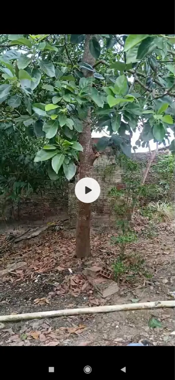 Terreno São Raimundo 8x30
