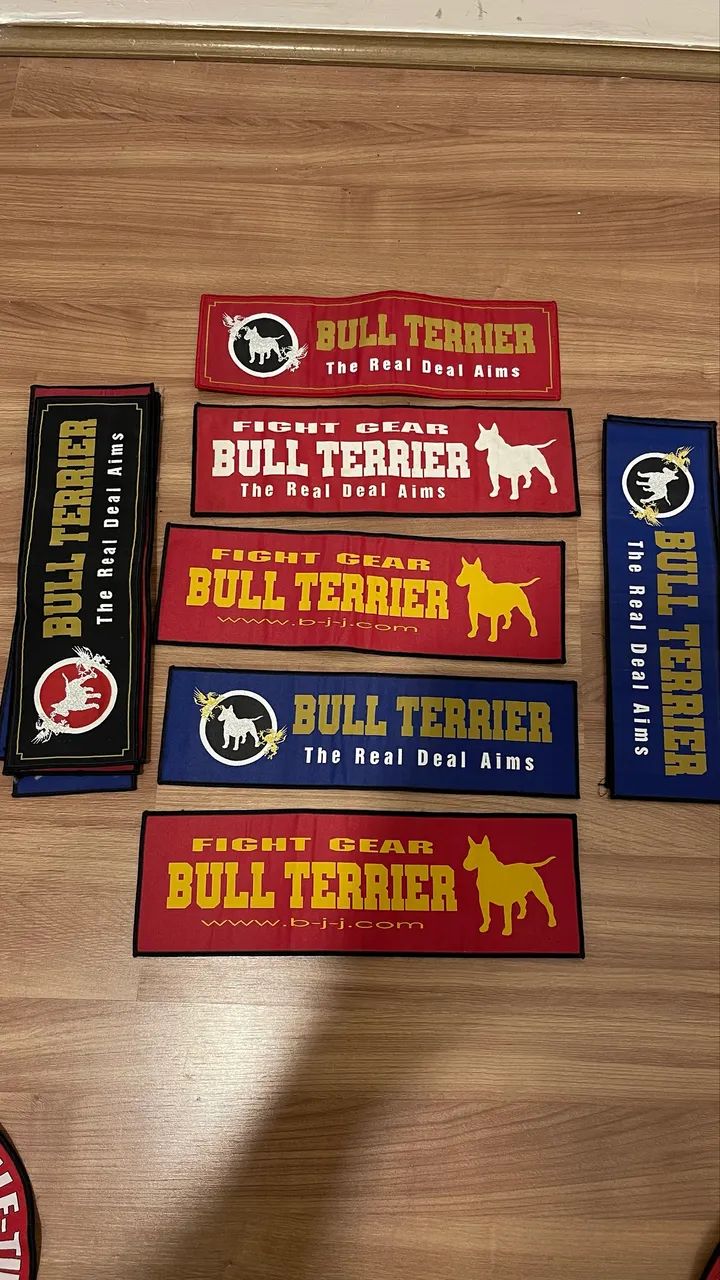 Petch novos da Bulterrier  - Foto 4