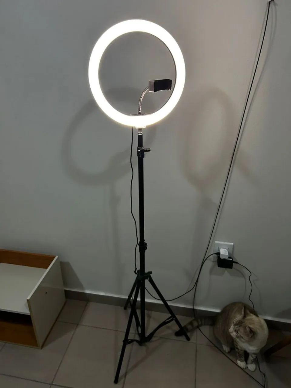 Ring light 64318616960897120