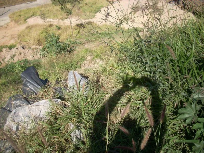 Lote no Buritis - Foto 4