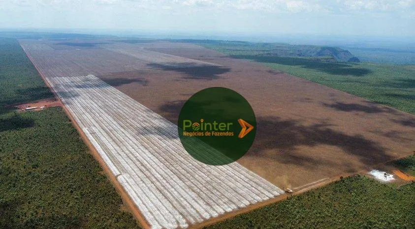 Fazenda à venda, 55000 m² por R$ 190.000.000,00 - Zoa Rural - Ribeiro Gonçalves/PI