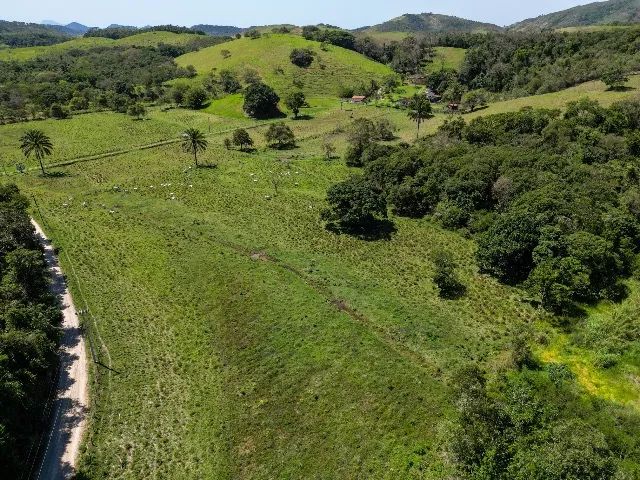 Fazenda à venda  - Foto 4