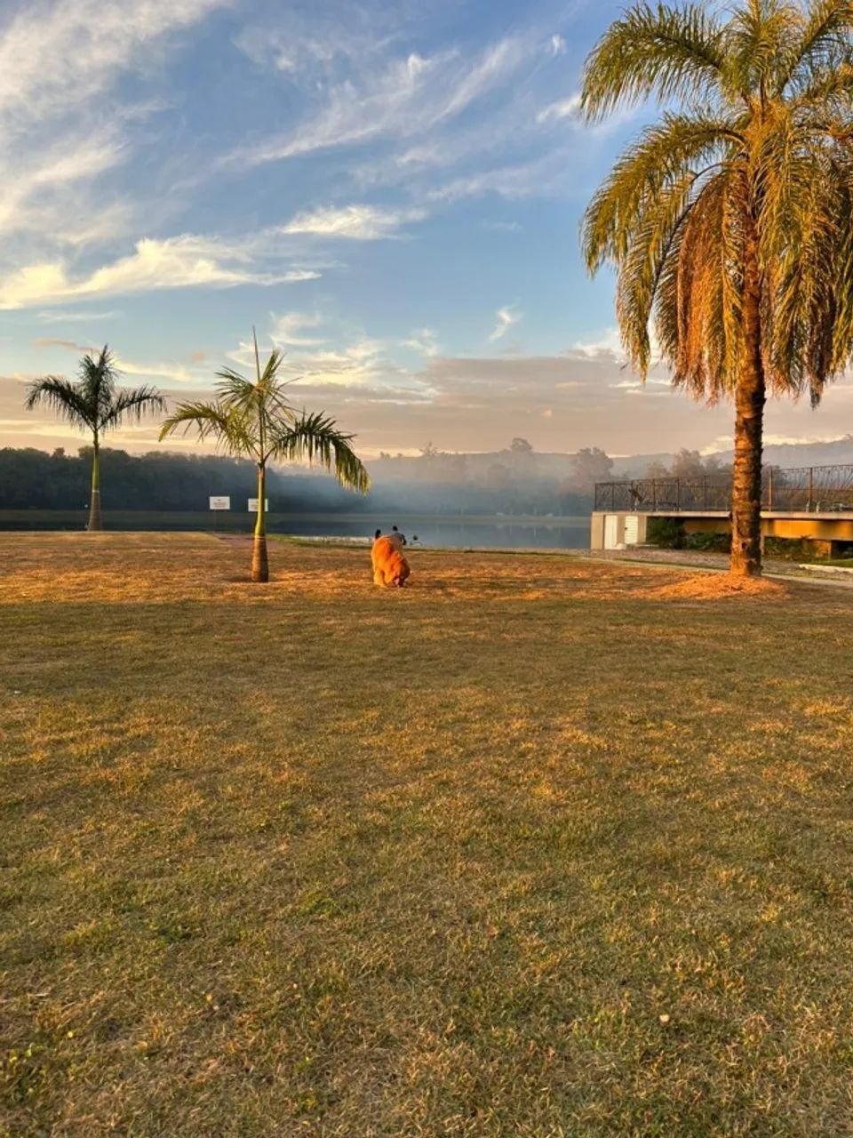 Foto - Belo Horizonte - São Salvador