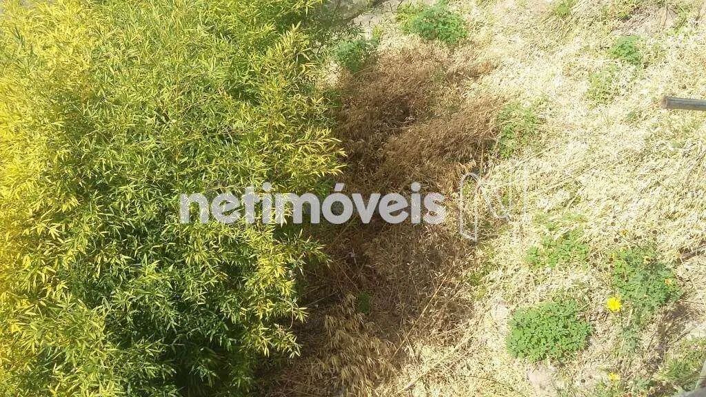Terreno com projeto já aprovado, totalmente diferenciado - Foto 4