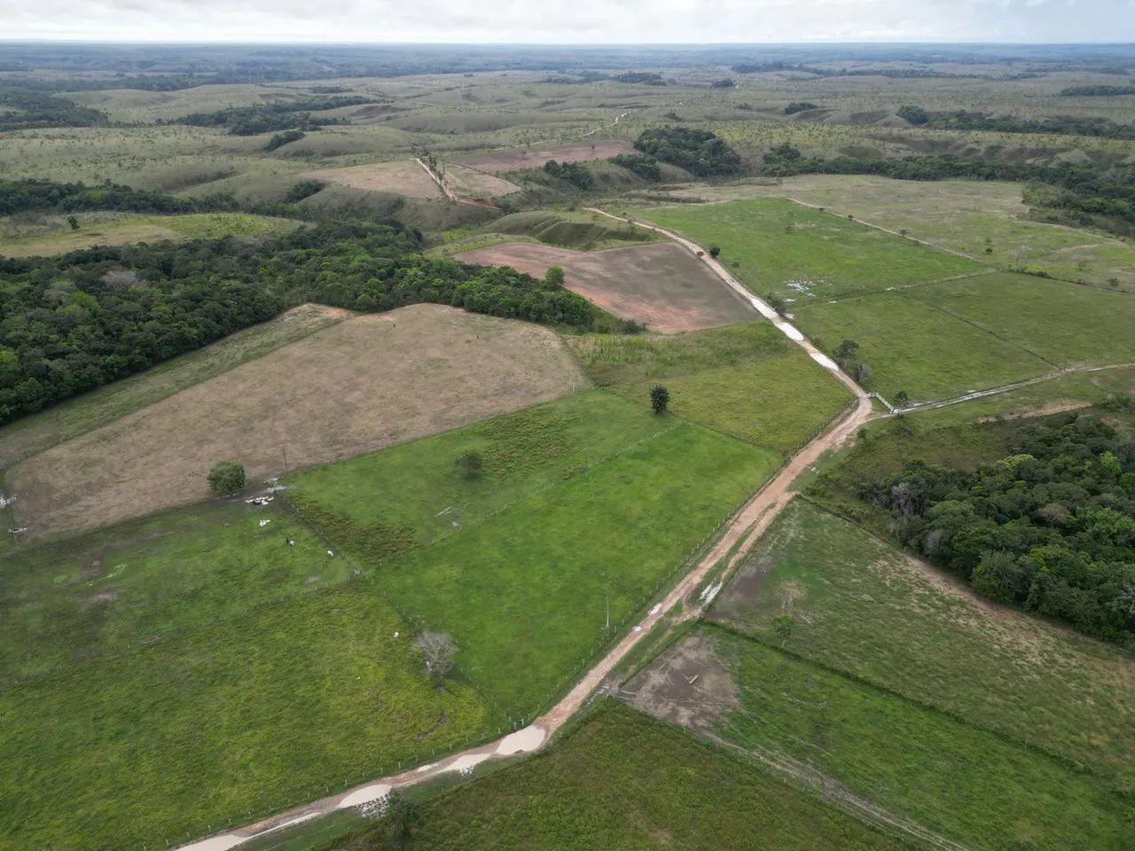 Fazenda à Venda no Porto Grande, Macapá:*