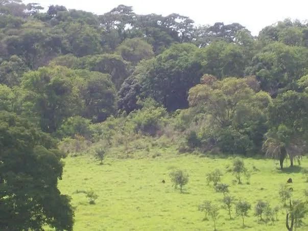 Chácara a venda em Goiânia- Goiás!!! - Foto 3