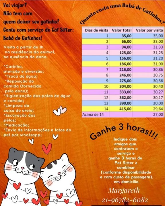 Pet Sitter, Babá de Gatinhos - Cuidados e carinho para o seu gatinho!