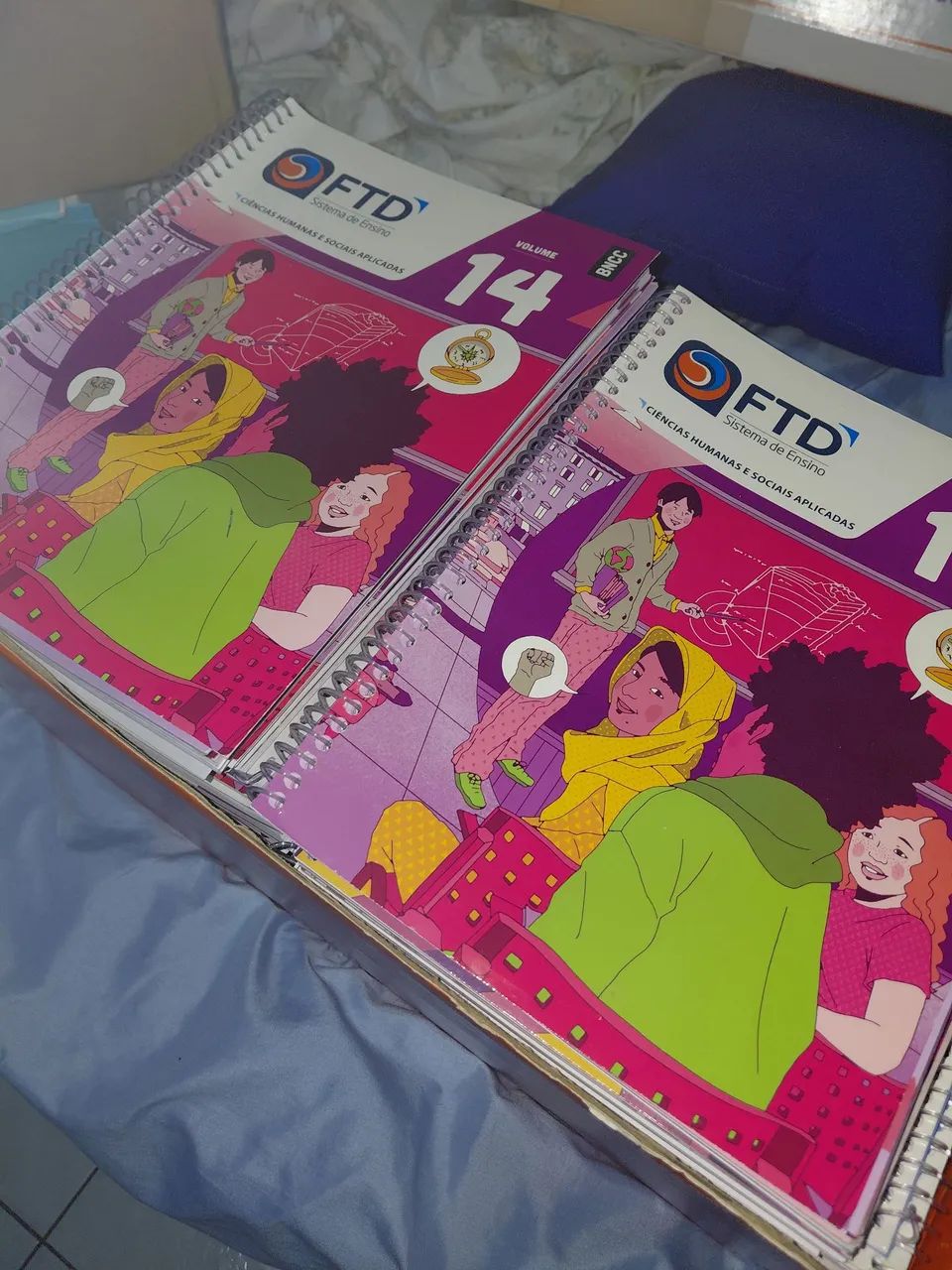 Livros colégio madre tereza 2° e 3° ano EM