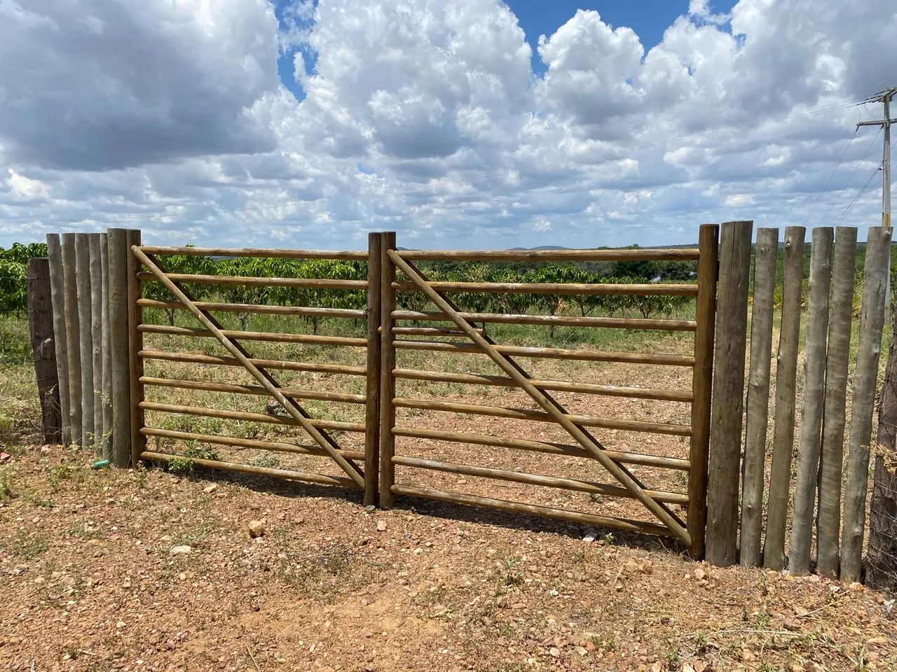 Propriedade Rural 81 hectares a 2 km de Santa Maria da Boa Vista 