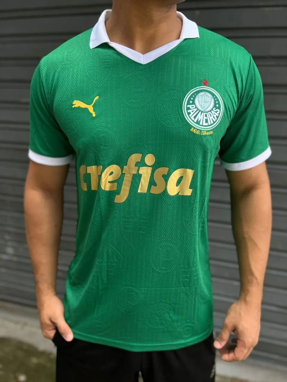 Camisa Palmeiras 1 linha.