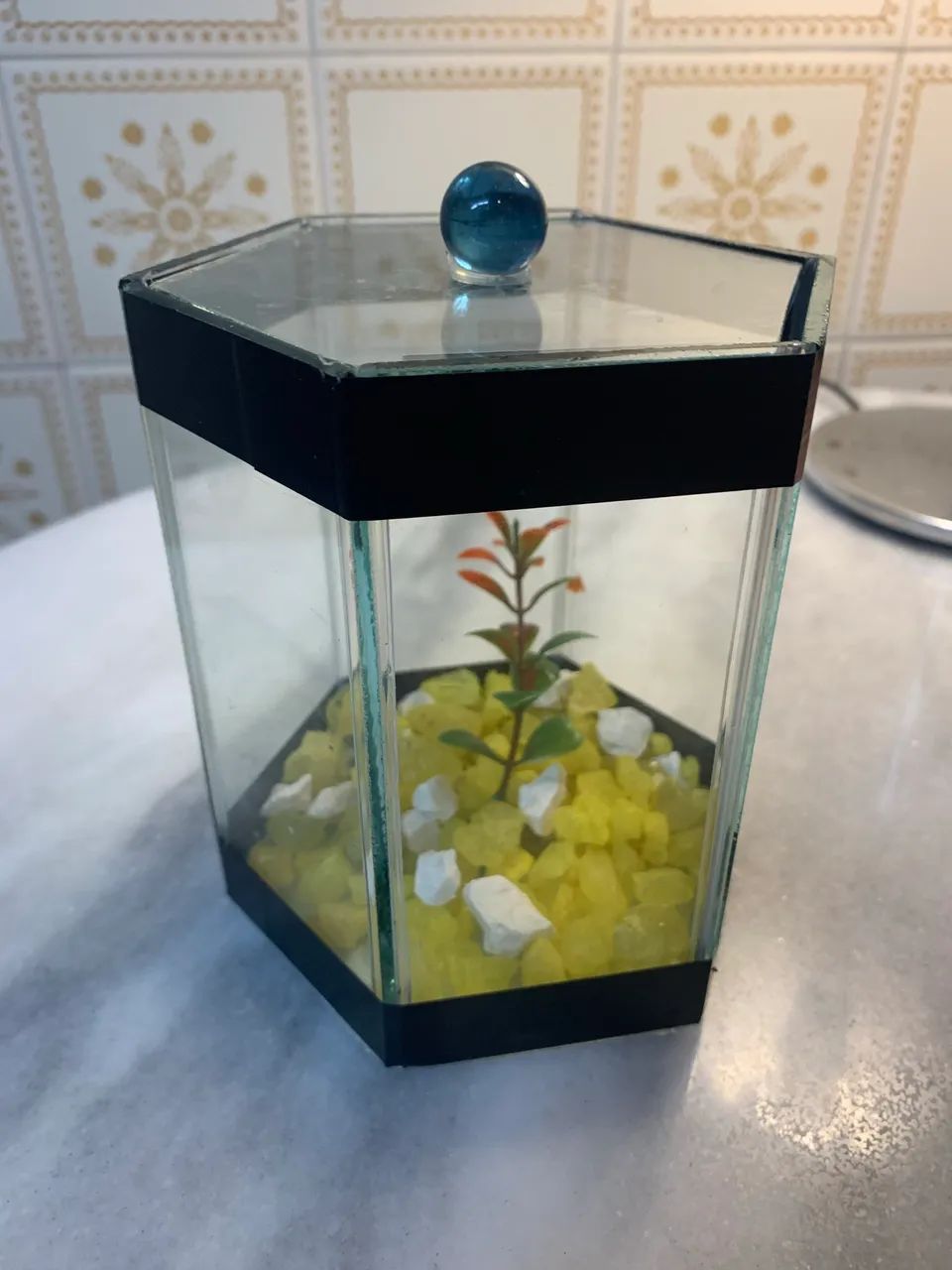 Aquário para peixe Betta - Sextavada - Foto 3