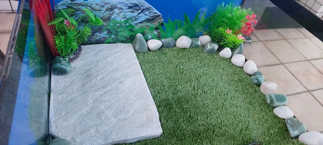 AQUATERRÁRIO COMPLETO - Foto 6