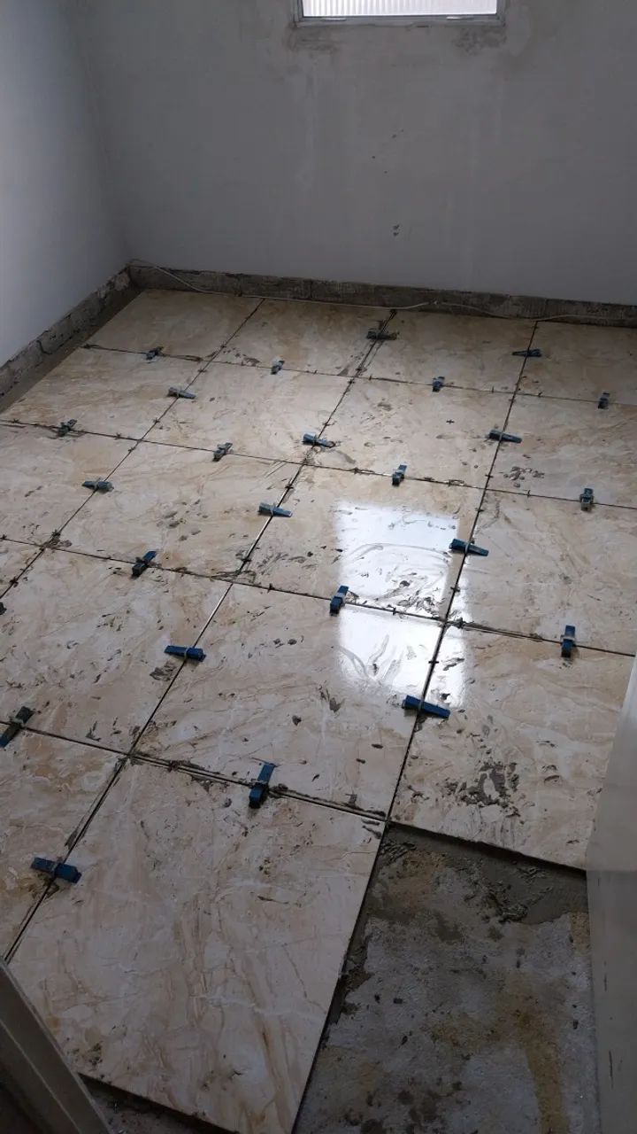 Azulejista  - Foto 4