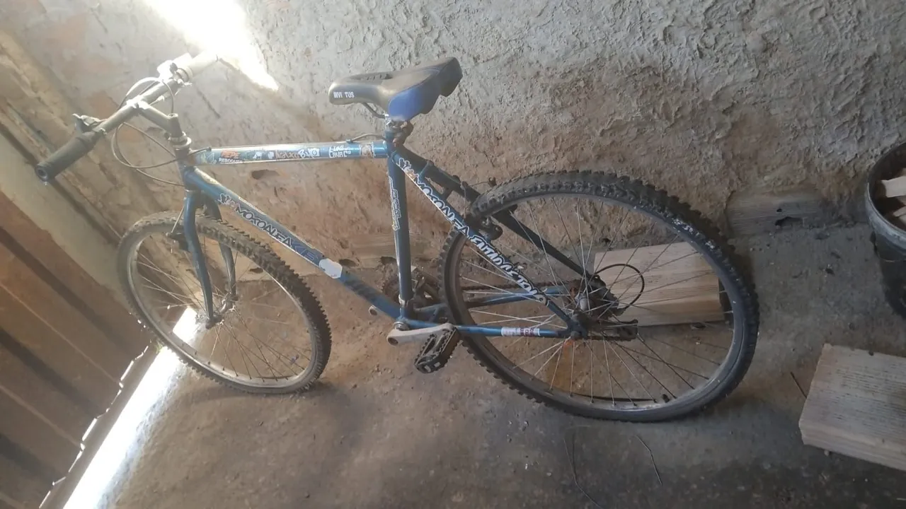 Bicicleta