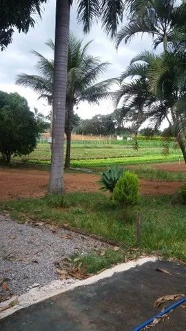 Chácara de 3,3 Hectares - Ponte Alta/Gama                                (CR33) - Foto 5