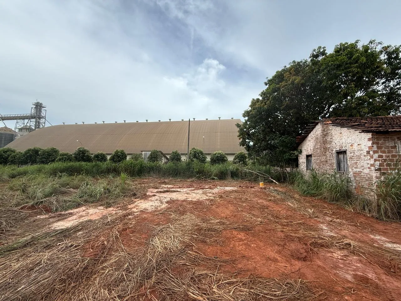 Alugo Chacara 10.000m2 em Figueirópolis-TO
