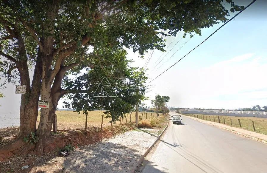 área - João Aranha - Paulínia - Foto 5