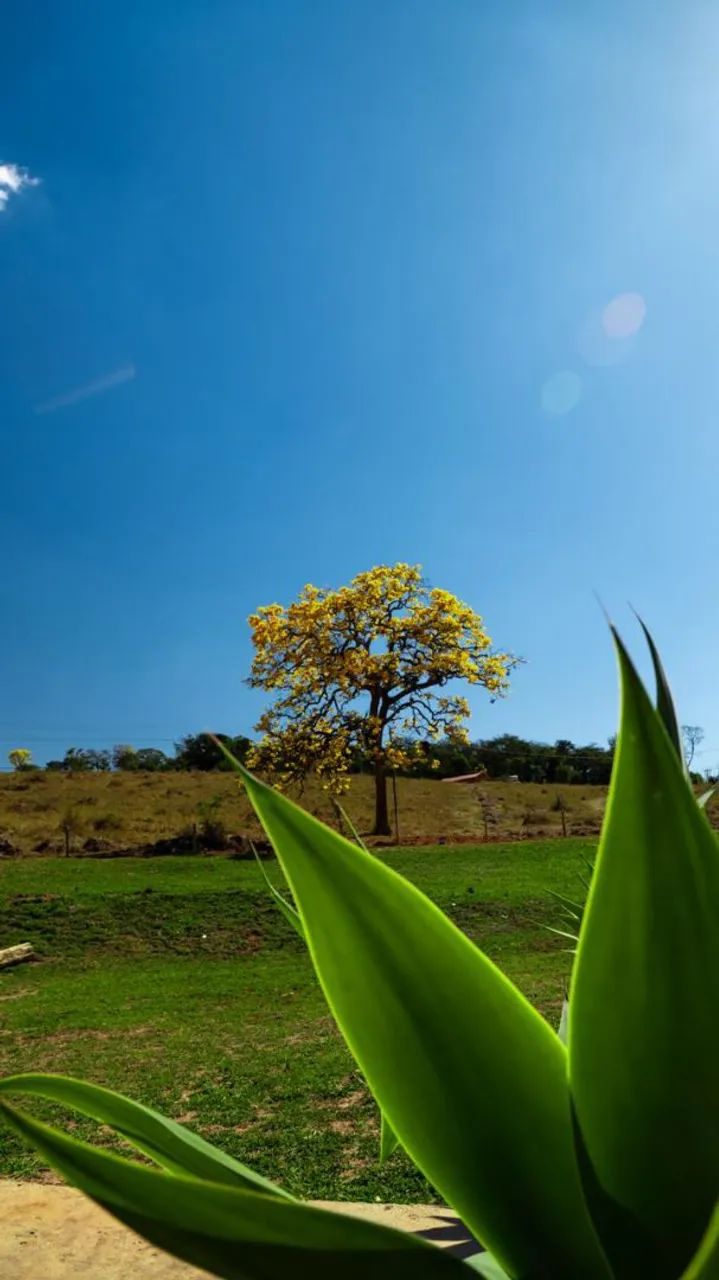 CHÁCARAS FINANCIAMENTO PRÓPRIO EM RIO MANSO. - Foto 3