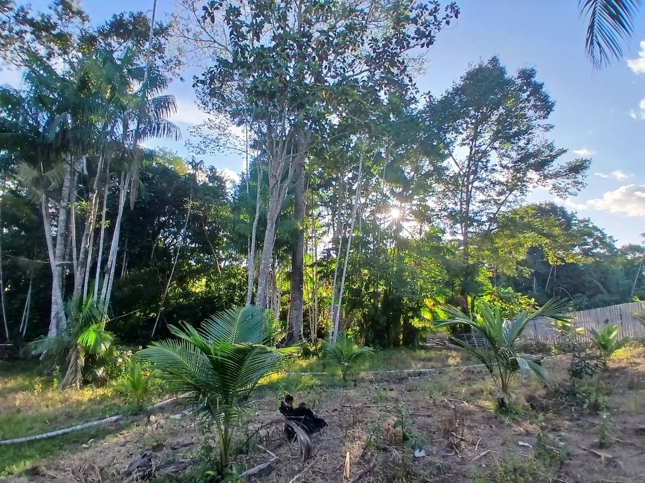 Chácara a venda - Foto 5