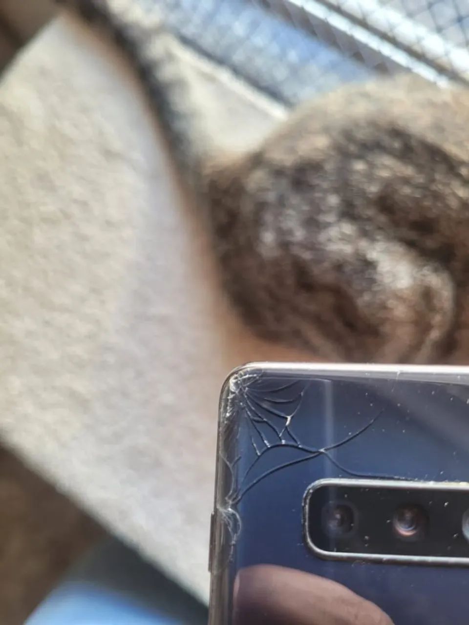 s10 plus  - Foto 3