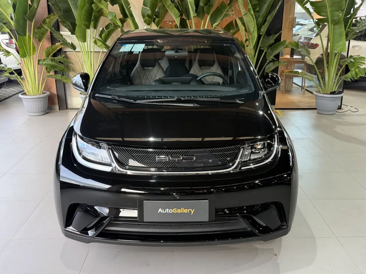 BYD Dolphin GS (Elétrico) 2024 - Foto 4
