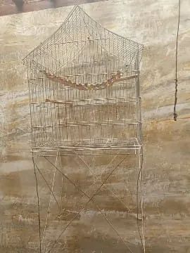   VIVEIRO PARA AVES - GRANDE E ESPAÇOSO! ? - Foto 2