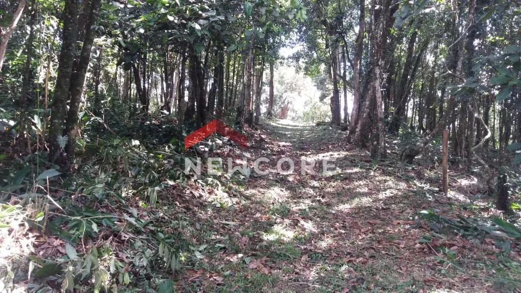 Sítio em Estrada do Capivari - Capivari - São Bernardo do Campo/SP - Foto 3