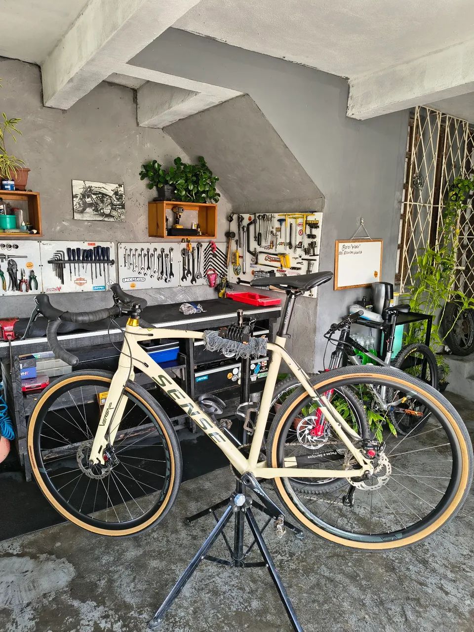 Bike Sense versa 