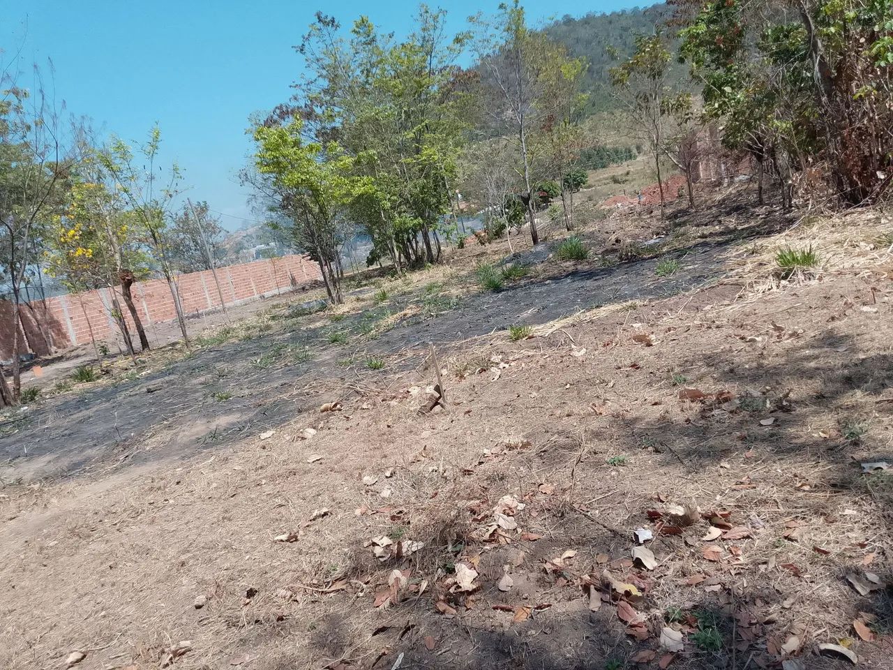 Vende ou troca lote de chácara -vs 25  - Foto 2