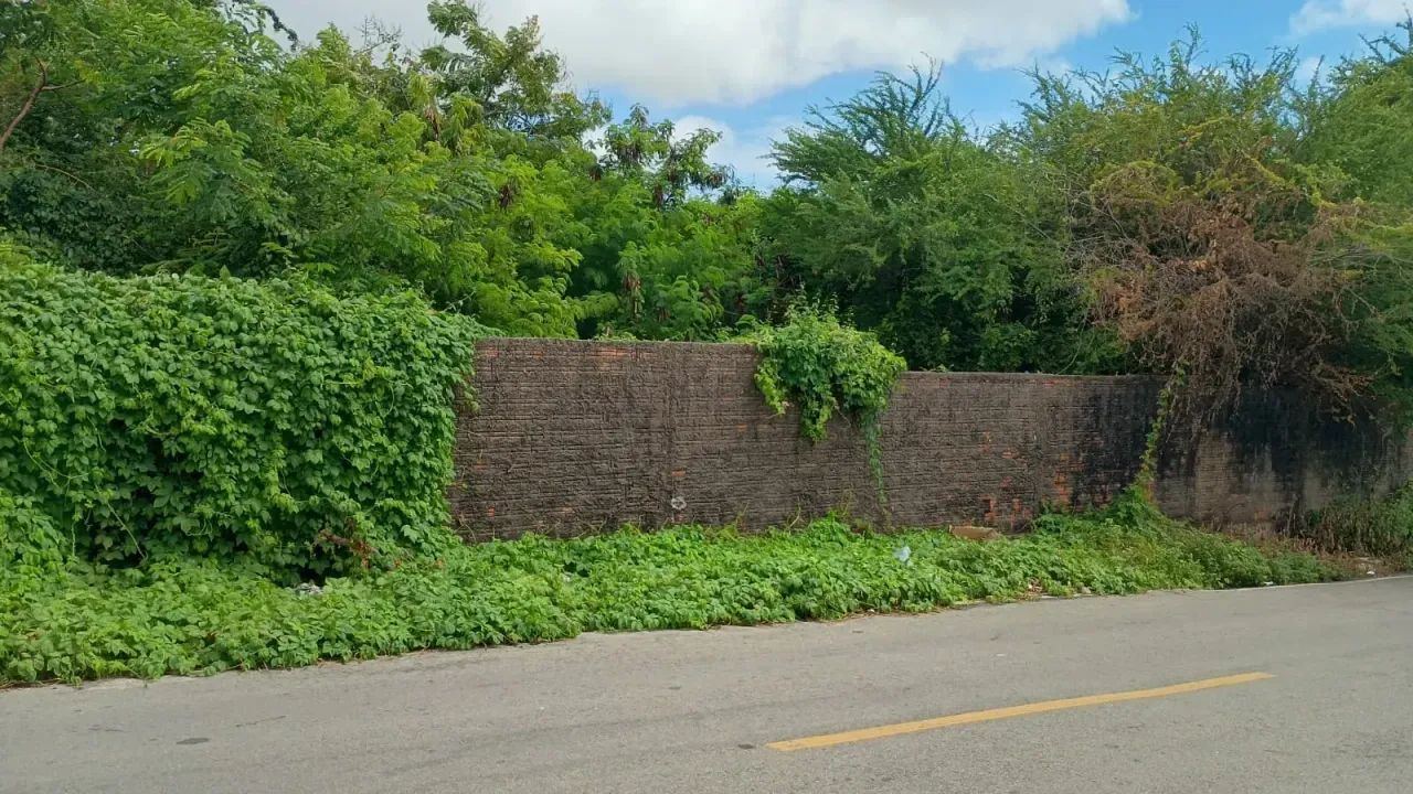 Vende-se Terreno no São Francisco - Foto 3