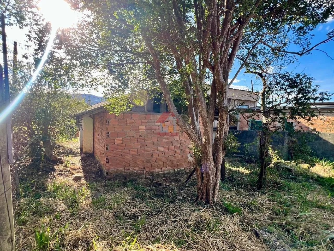 Lote à Venda - Cabeceiras - Foto 3