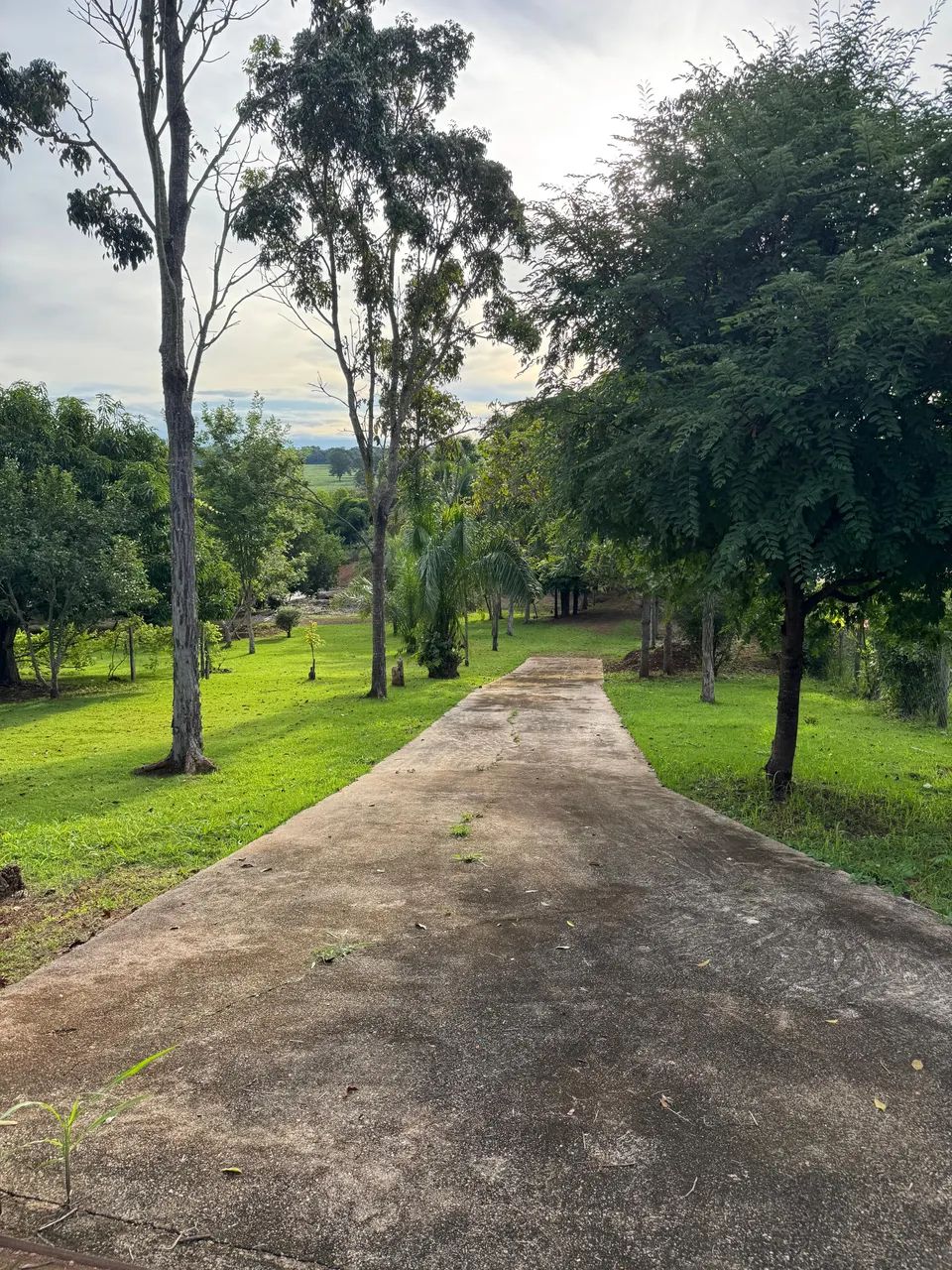 Chácara - Condomínio Ribeirão da Cachoeira - Foto 4