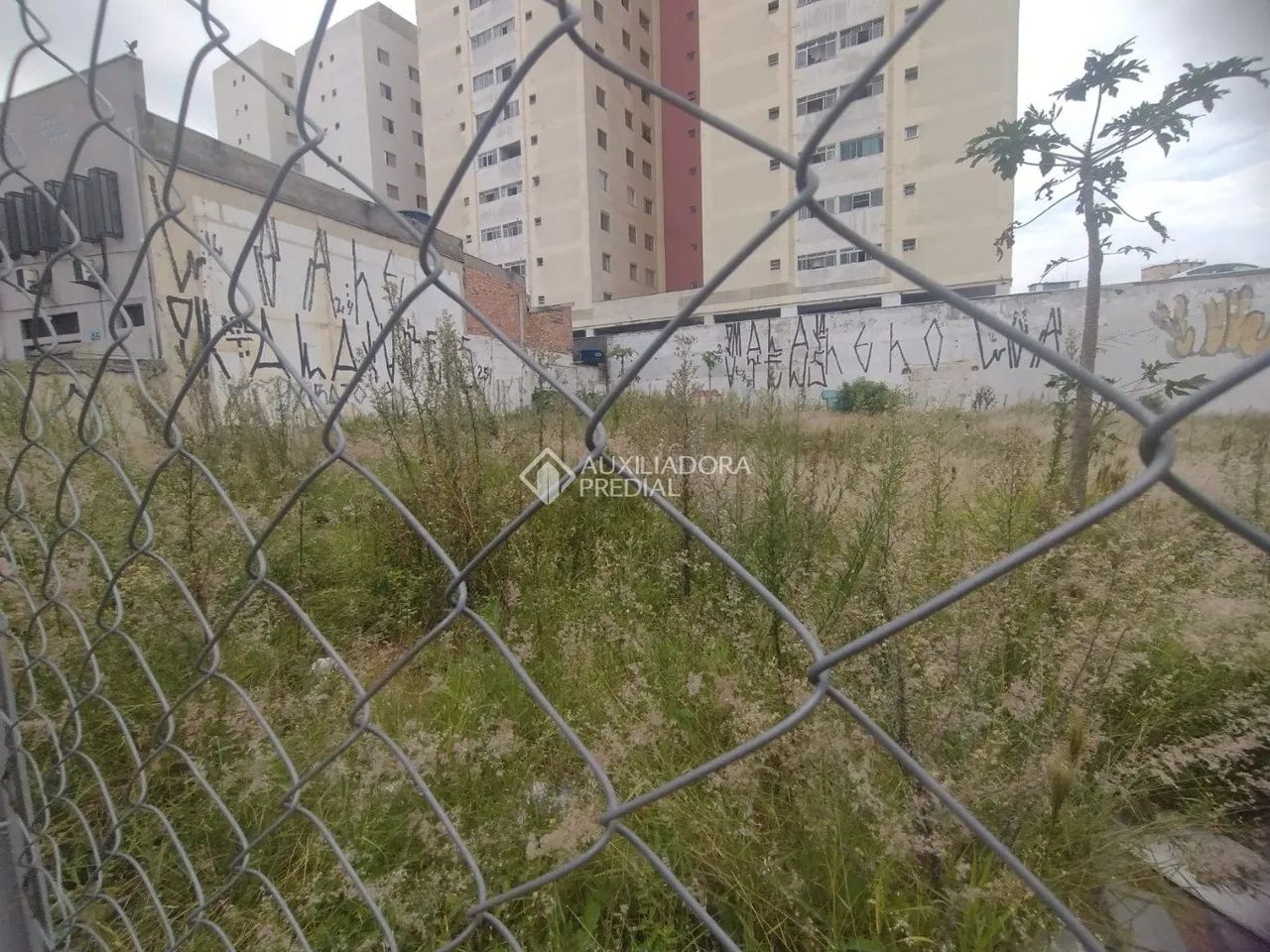 TERRENO - RUDGE RAMOS - SÃO BERNARDO DO CAMPO - Foto 4