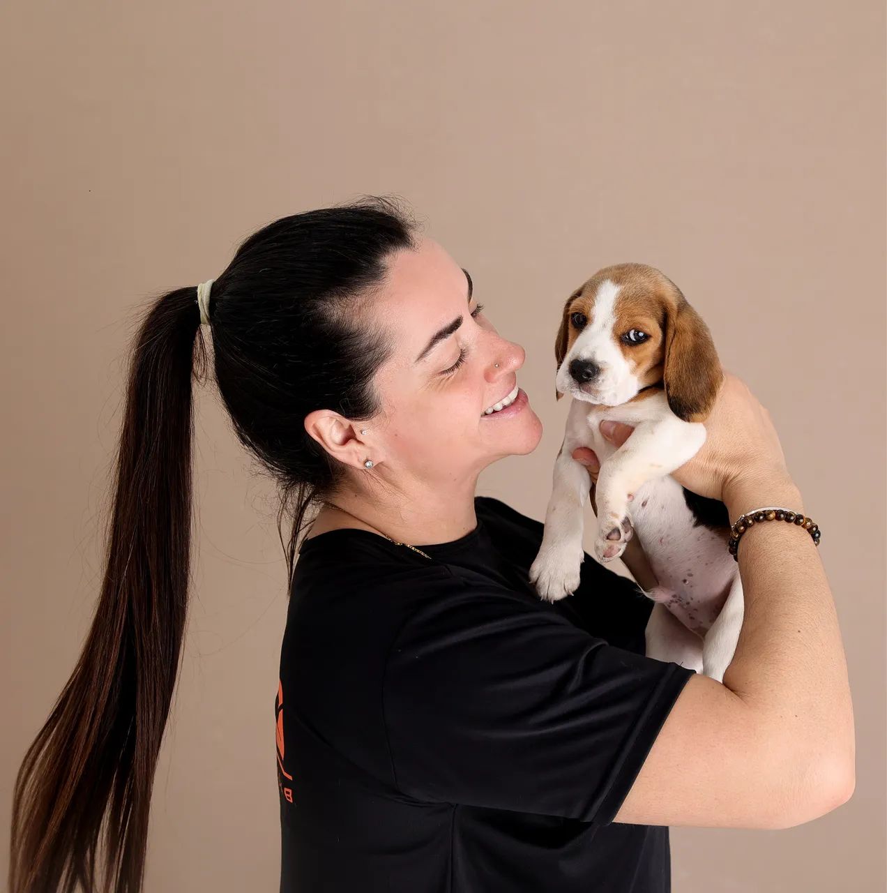 Beagle disponível 