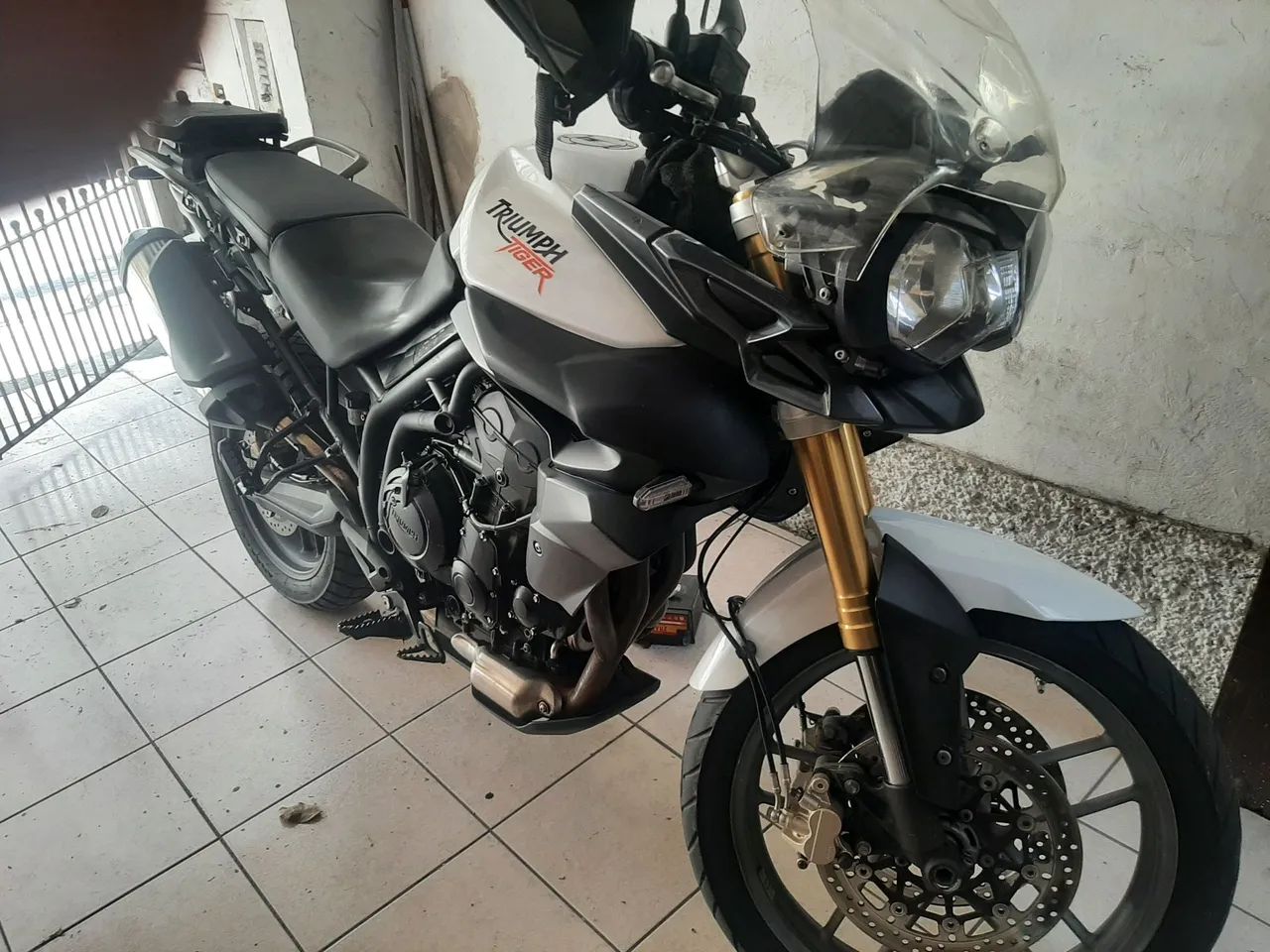 Tiger 800 - Foto 2