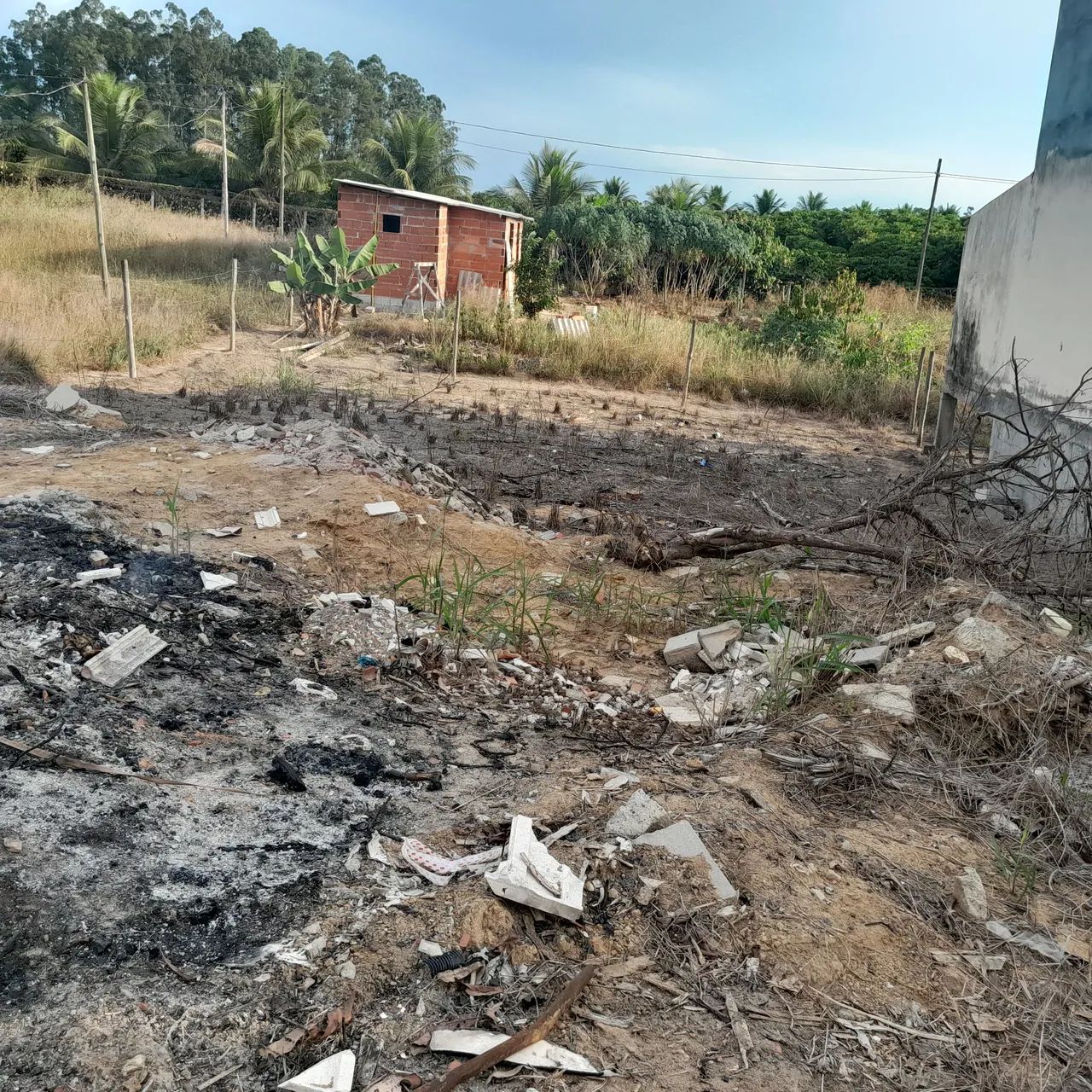 Lote - Foto 2