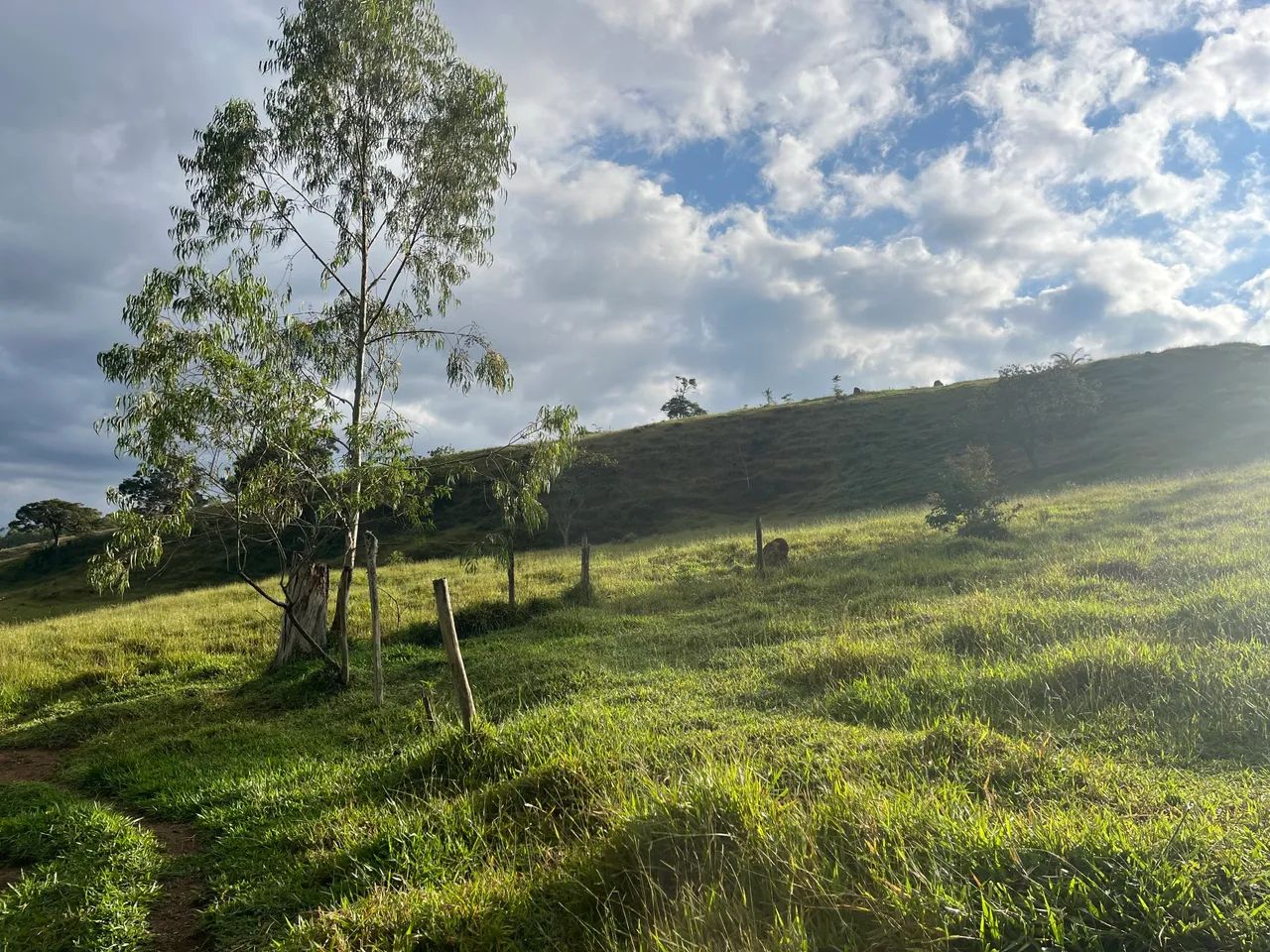 Três hectares próximo br 40 - Foto 4