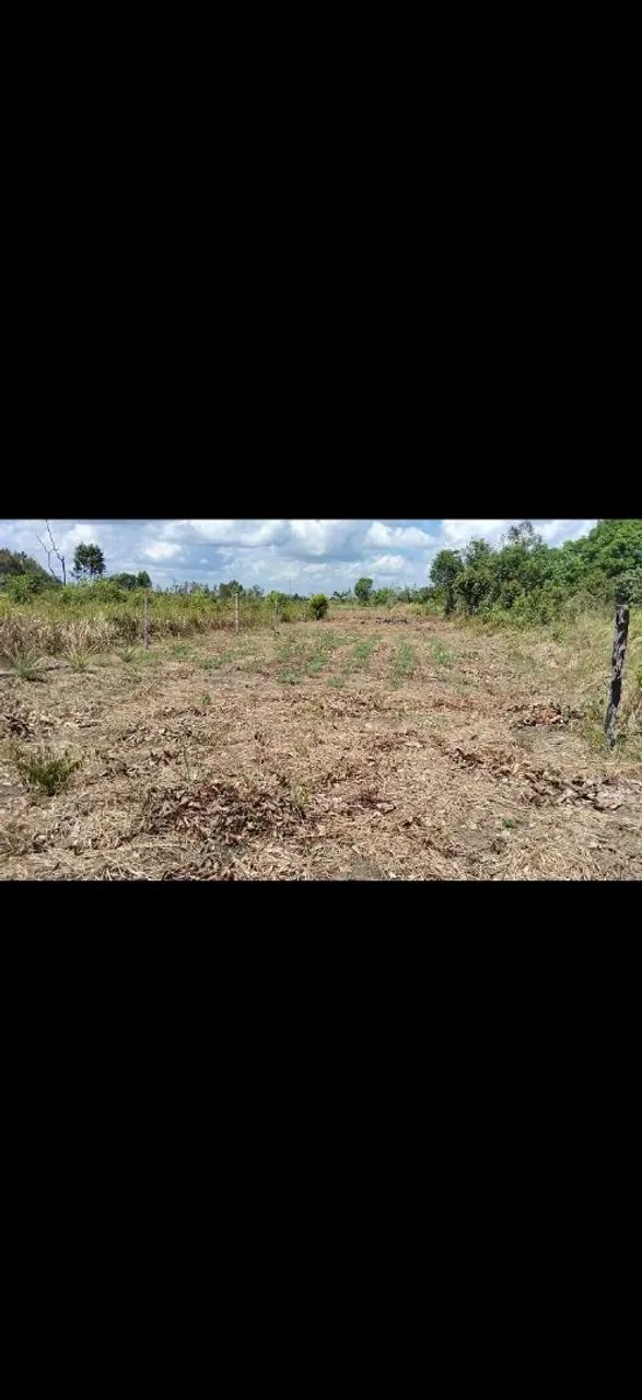 Vendo chácara 10x50 
