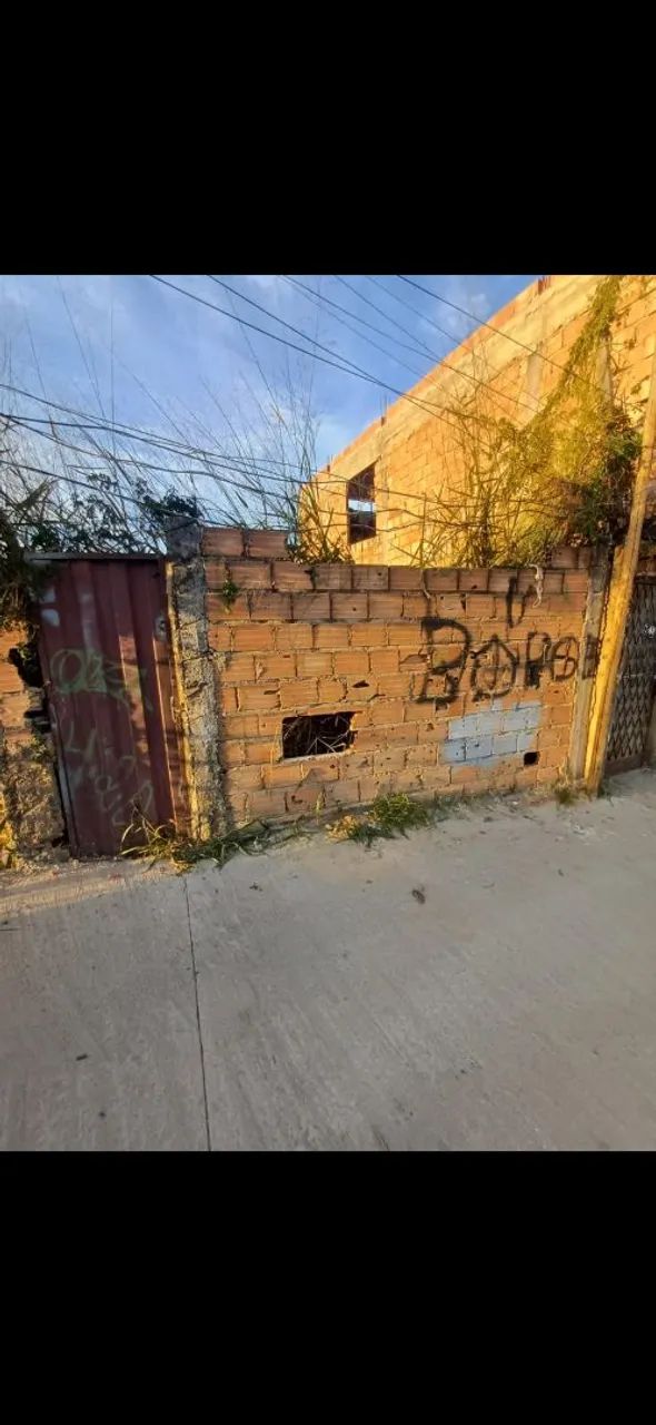 Foto - Belo Horizonte - Palmeiras