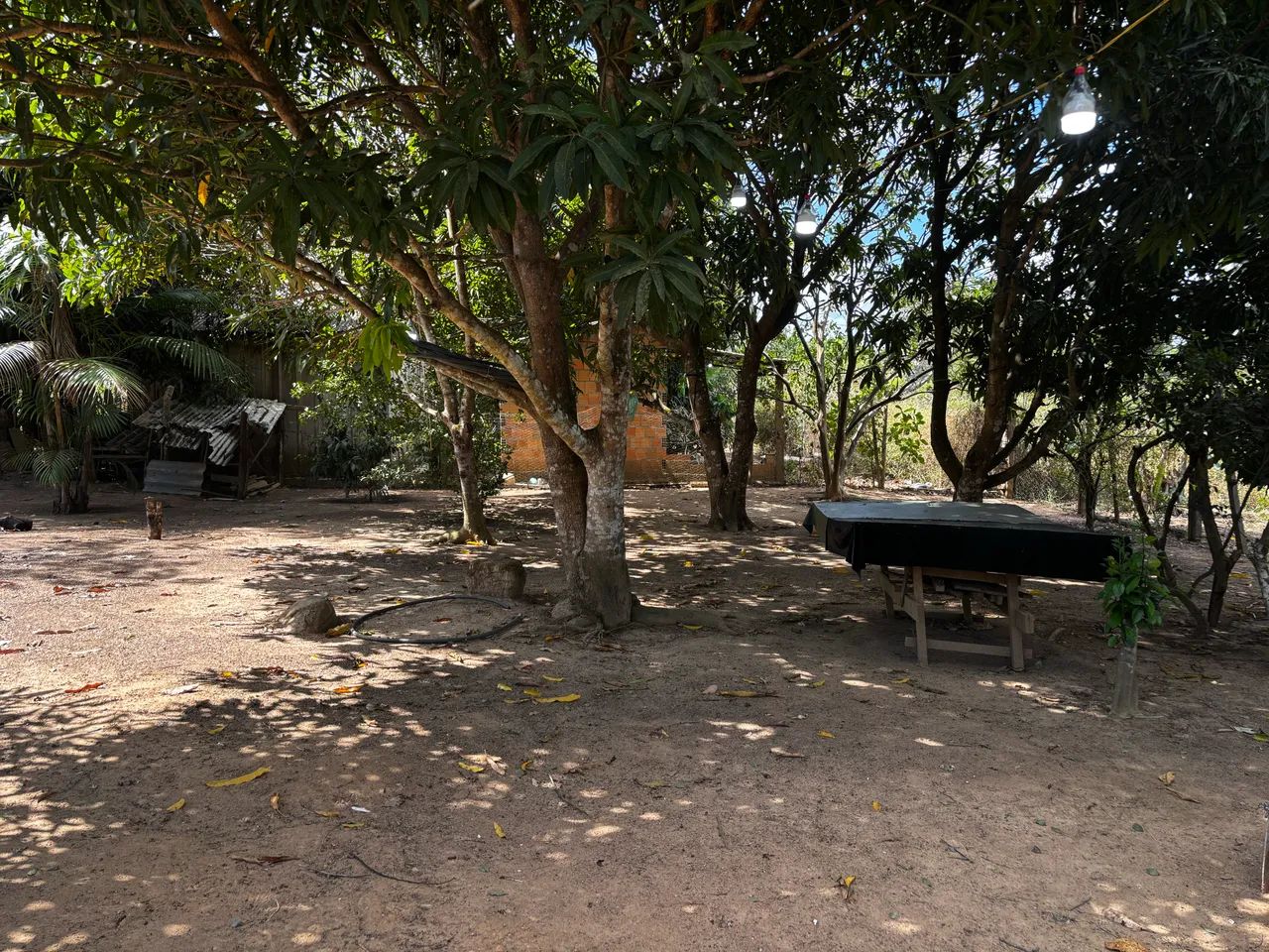 Venda de chácara  - Foto 3