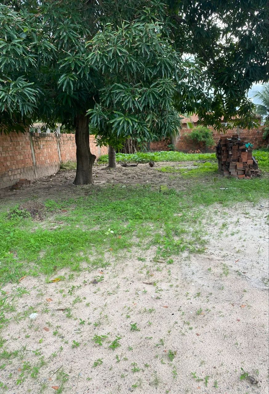 Terreno em Panaquatira  - Foto 3