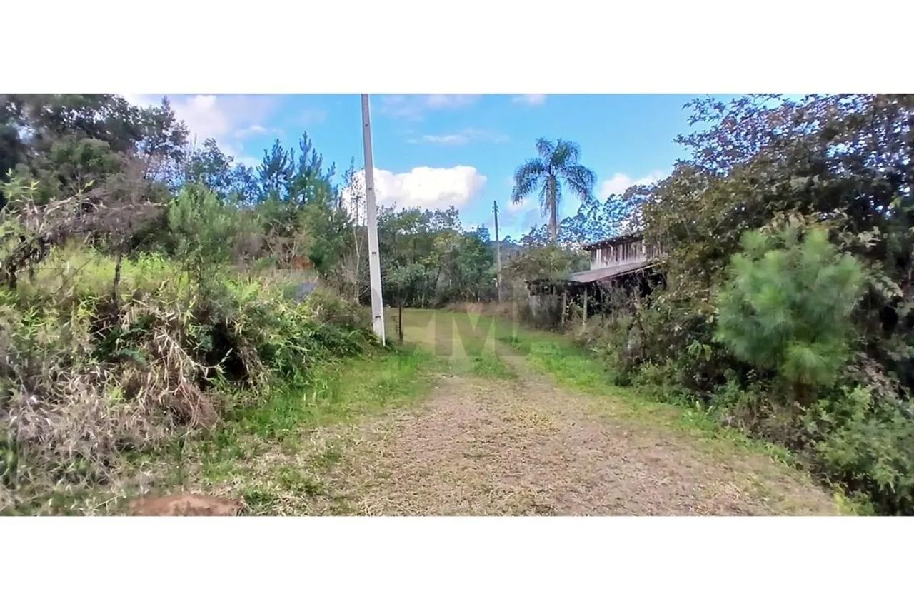 TERRENO A VENDA EM SAO PEDRO DE ALCÂNTARA - Foto 3