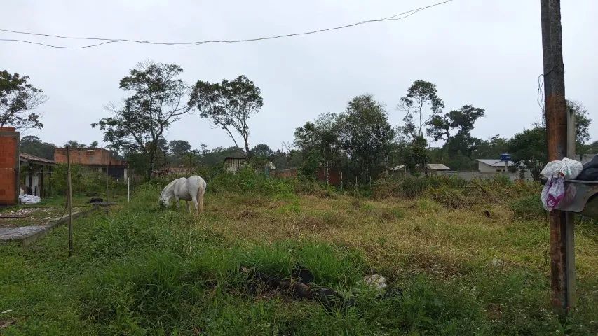 Foto - Matinhos - 