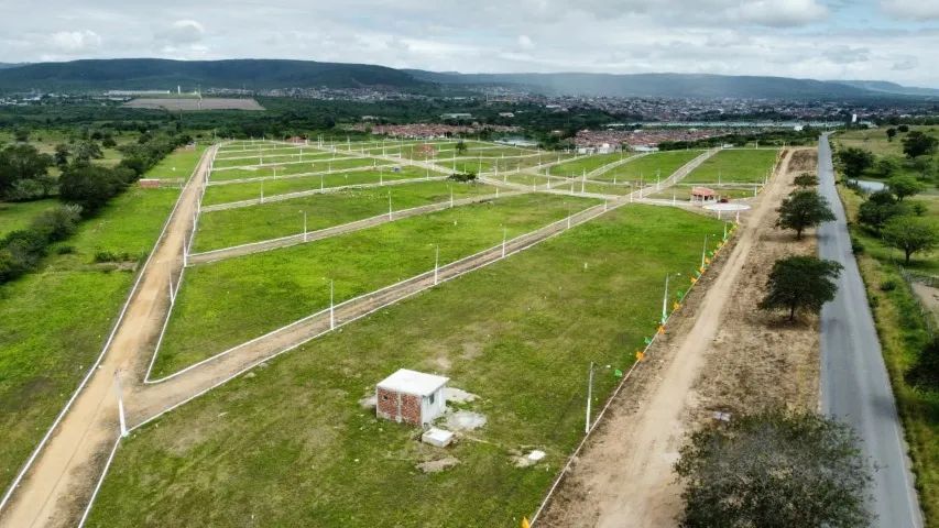 REPASSE DE LOTE EM BEZERROS. contato 81- *