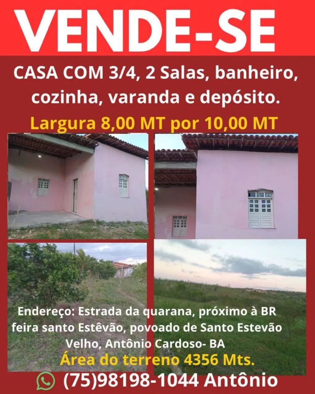 Uma casa com uma área de terra e vários pés de frutas 