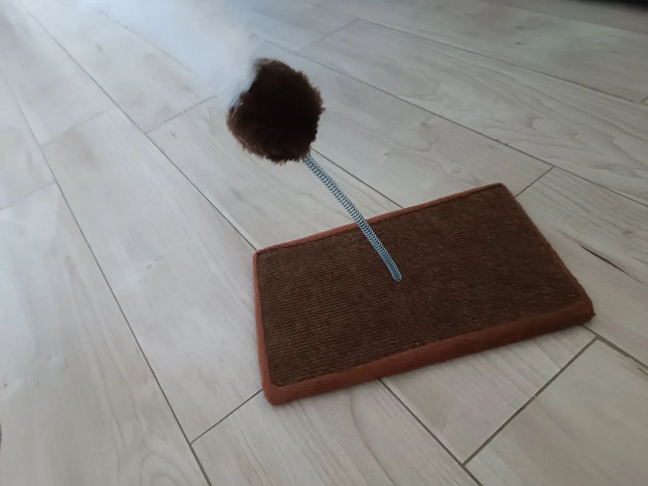 Kit para gato  - Foto 6