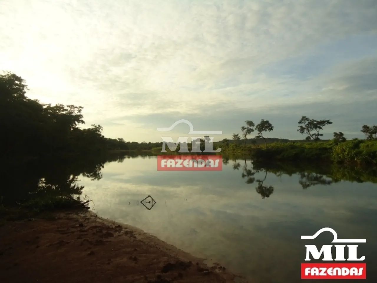 Fazenda 295 Alqueires (1.428 Hectares) Minaçu - GO - Foto 2