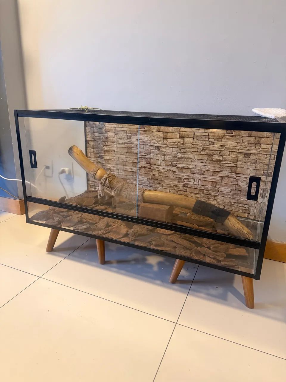 Terrário  - Foto 2