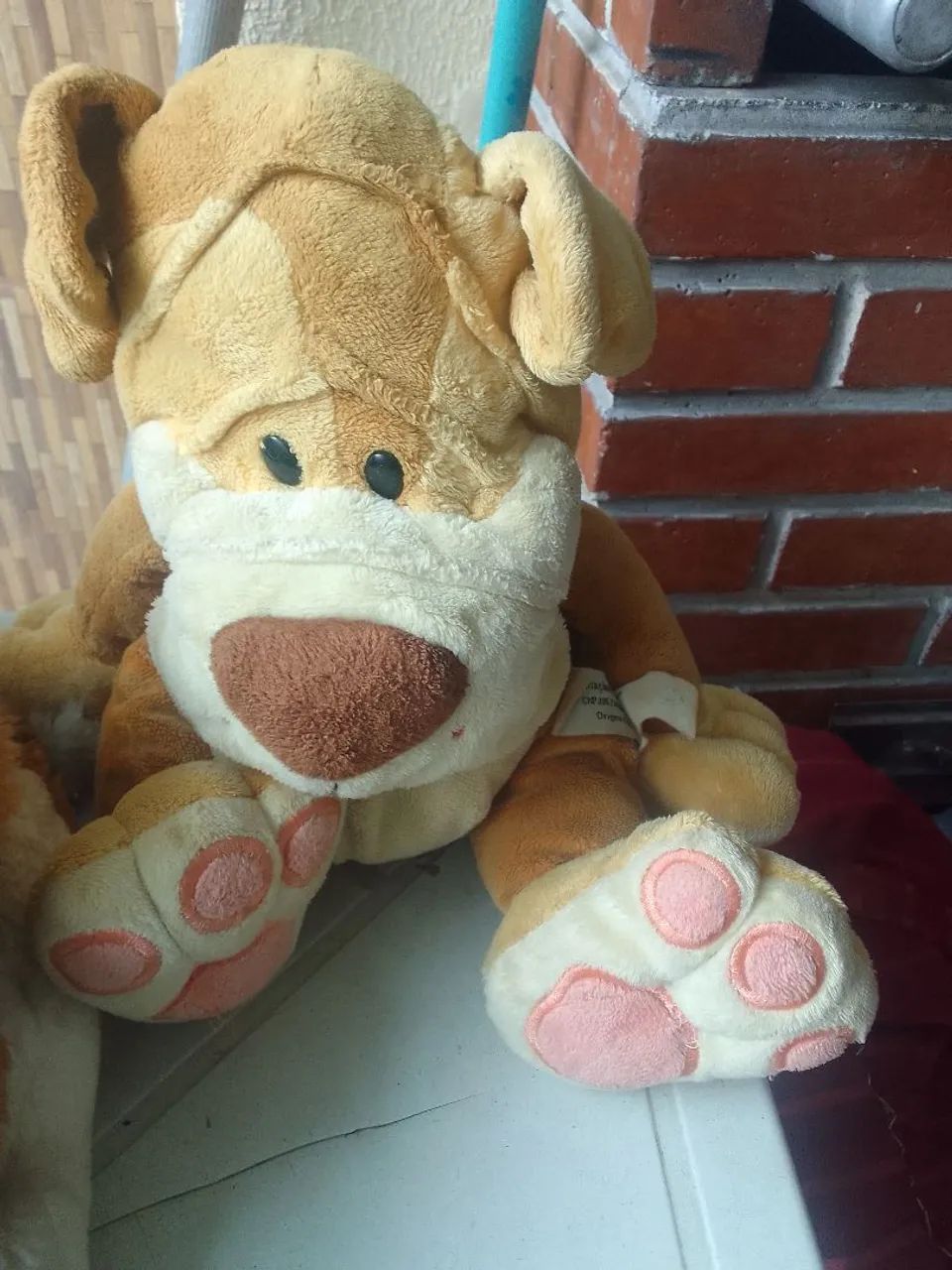 Urso  os 6 por esse valor. - Foto 3