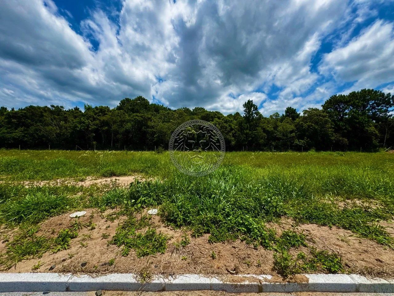 Terreno à Venda no Ribeirão da Ilha - 442,79 m² - Foto 5